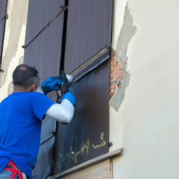 Crépis : optez pour une façade rustique et chaleureuse Forbach